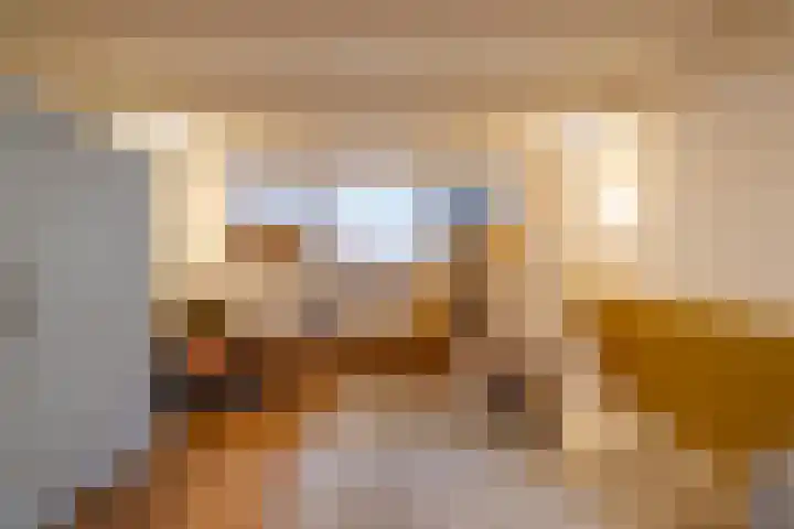 Adriaen van der Doeslaan 9 Rotterdam thumbnail 15