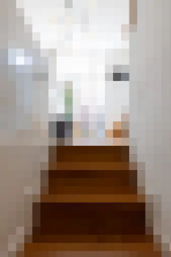 Adriaen van der Doeslaan 9 Rotterdam thumbnail 18