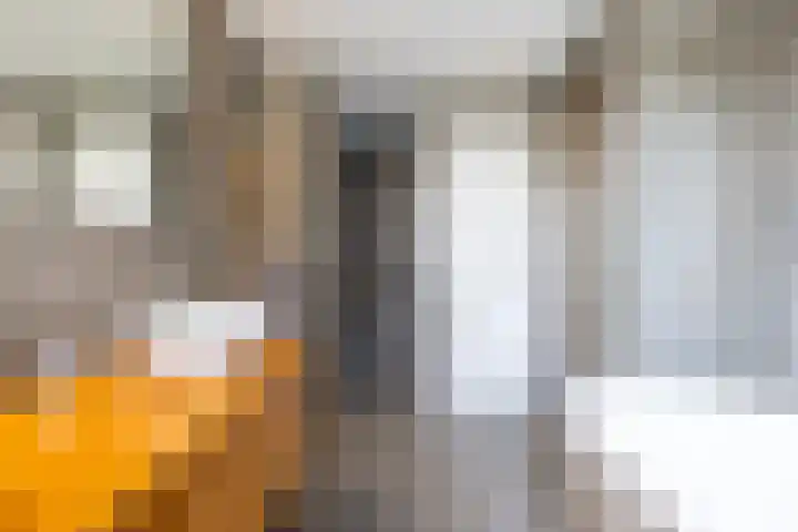 Adriaen van der Doeslaan 9 Rotterdam thumbnail 32