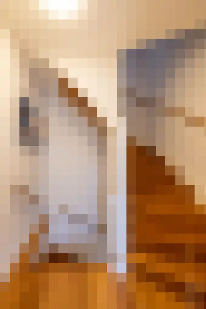 Adriaen van der Doeslaan 9 Rotterdam thumbnail 37