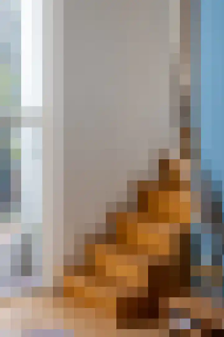 Adriaen van der Doeslaan 9 Rotterdam thumbnail 9