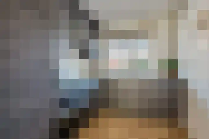 Adriaen van Ostadehage 3 Nieuwegein thumbnail 12