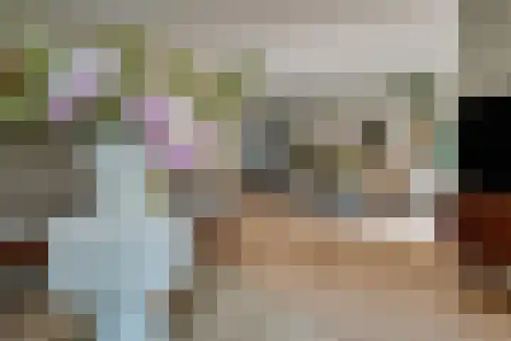 Adriaen van Ostadehage 3 Nieuwegein thumbnail 14