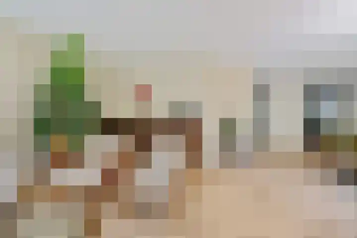 Adriaen van Ostadehage 3 Nieuwegein thumbnail 15