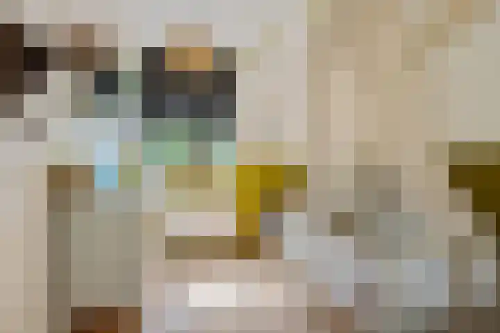 Adriaen van Ostadehage 3 Nieuwegein thumbnail 22
