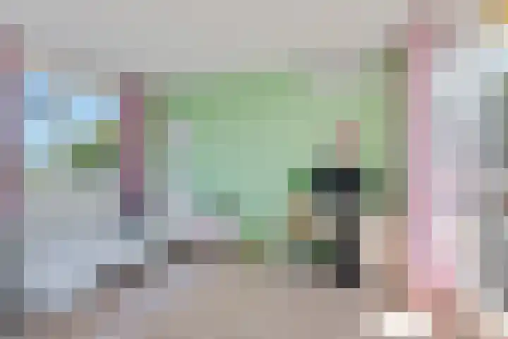Adriaen van Ostadehage 3 Nieuwegein thumbnail 27