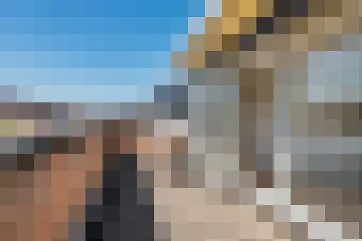 Adriaen van Ostadehage 3 Nieuwegein thumbnail 29