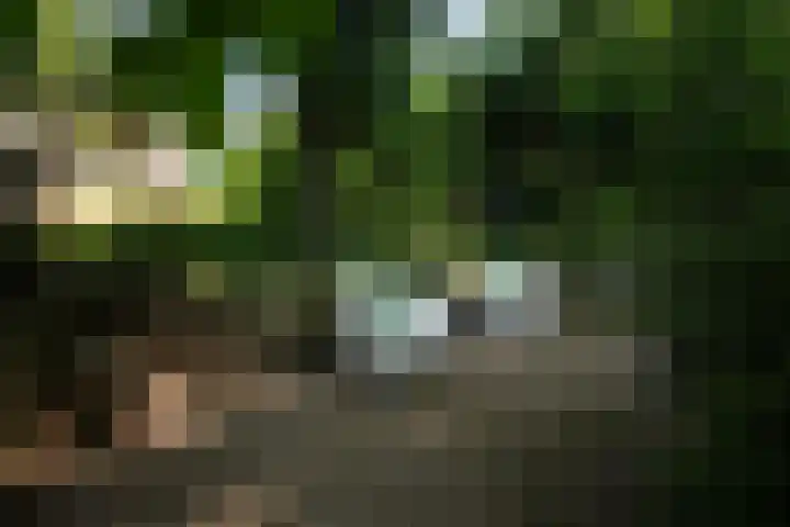 Adriaen van Ostadehage 3 Nieuwegein thumbnail 32