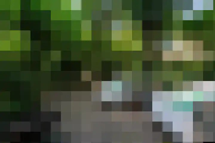 Adriaen van Ostadehage 3 Nieuwegein thumbnail 33
