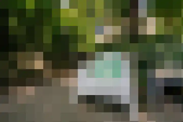Adriaen van Ostadehage 3 Nieuwegein thumbnail 34