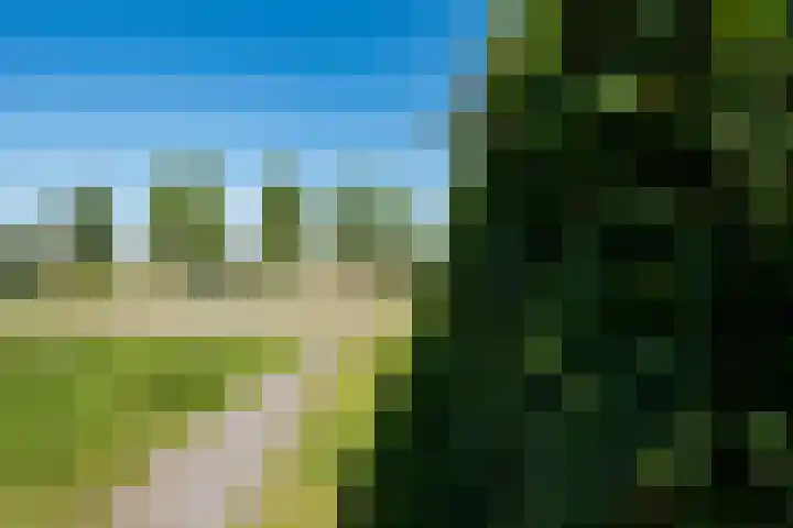 Adriaen van Ostadehage 3 Nieuwegein thumbnail 35