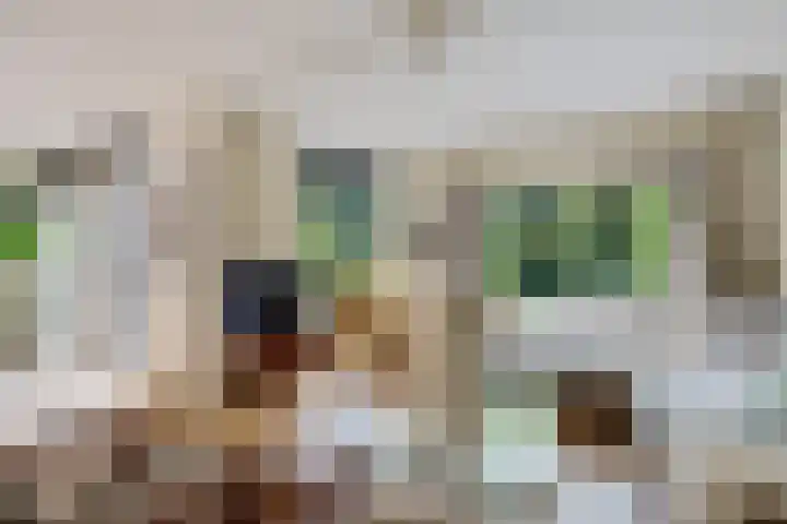 Adriaen van Ostadehage 3 Nieuwegein thumbnail 4