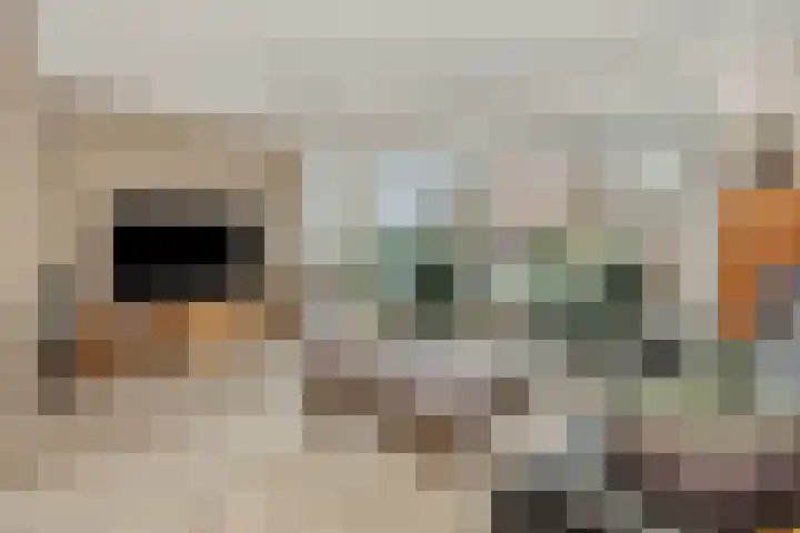 Adriaen van Ostadehof 19 Deurne thumbnail 10