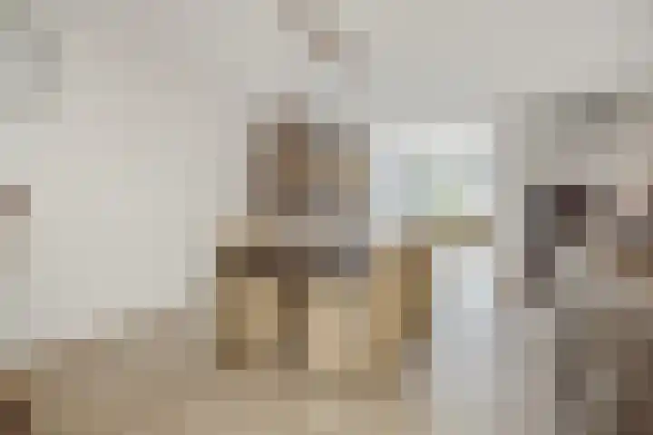 Adriaen van Ostadehof 19 Deurne thumbnail 12