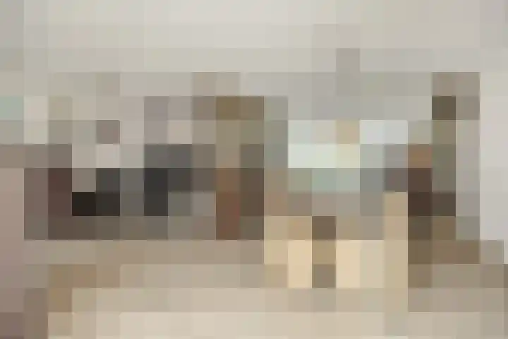 Adriaen van Ostadehof 19 Deurne thumbnail 14