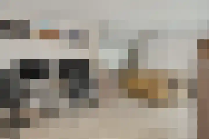 Adriaen van Ostadehof 19 Deurne thumbnail 15