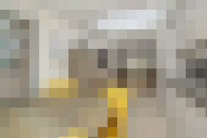 Adriaen van Ostadehof 19 Deurne thumbnail 18