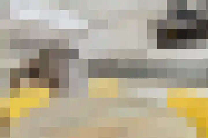 Adriaen van Ostadehof 19 Deurne thumbnail 19