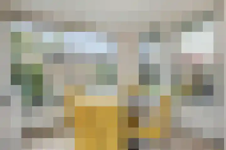 Adriaen van Ostadehof 19 Deurne thumbnail 20