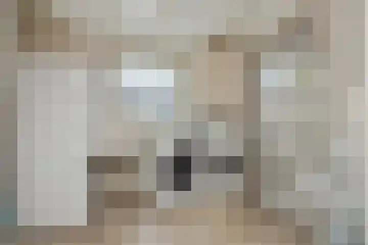 Adriaen van Ostadehof 19 Deurne thumbnail 21