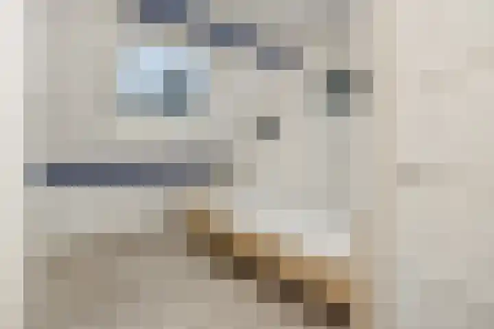 Adriaen van Ostadehof 19 Deurne thumbnail 24