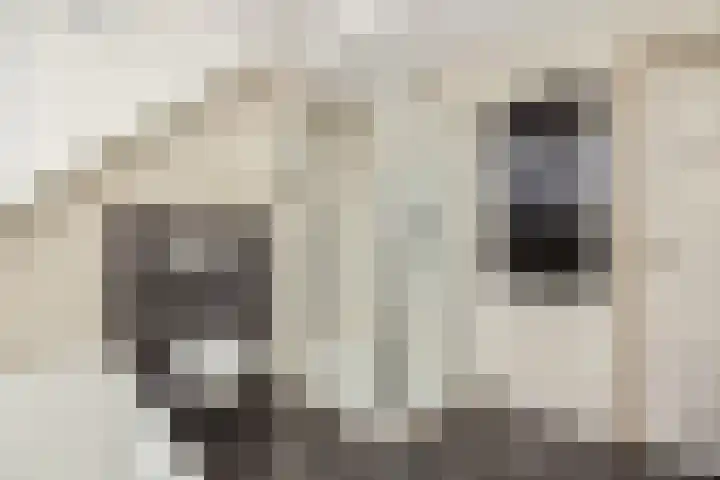 Adriaen van Ostadehof 19 Deurne thumbnail 26