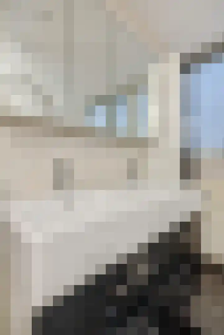 Adriaen van Ostadehof 19 Deurne thumbnail 27