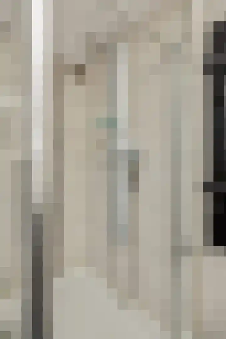 Adriaen van Ostadehof 19 Deurne thumbnail 28