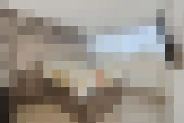 Adriaen van Ostadehof 19 Deurne thumbnail 30
