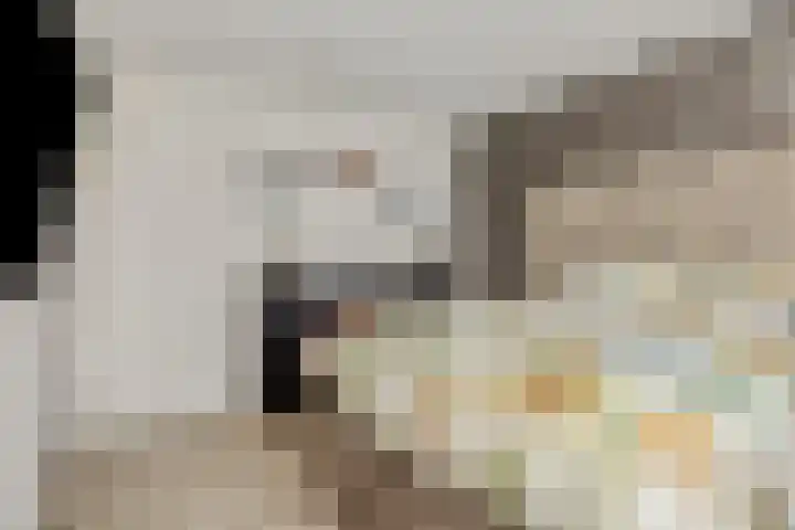 Adriaen van Ostadehof 19 Deurne thumbnail 31