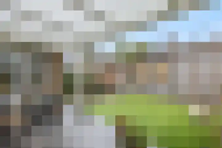 Adriaen van Ostadehof 19 Deurne thumbnail 32