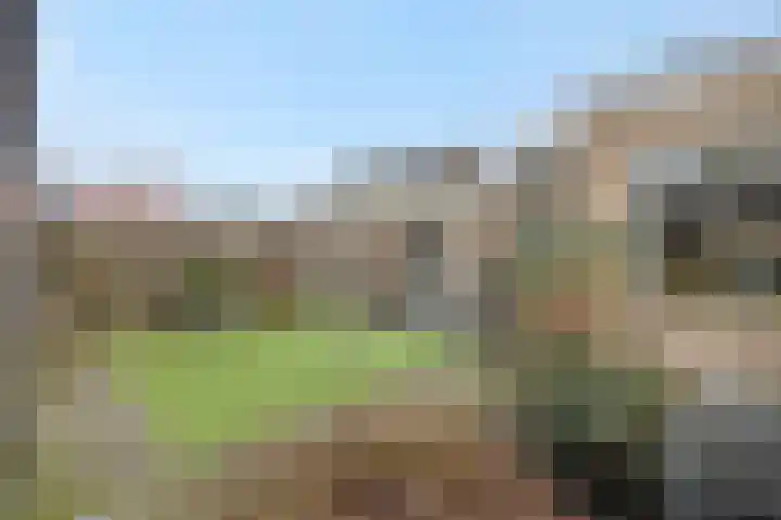 Adriaen van Ostadehof 19 Deurne thumbnail 35