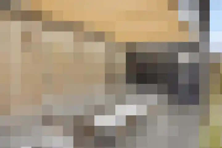 Adriaen van Ostadehof 19 Deurne thumbnail 36