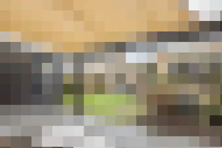 Adriaen van Ostadehof 19 Deurne thumbnail 37