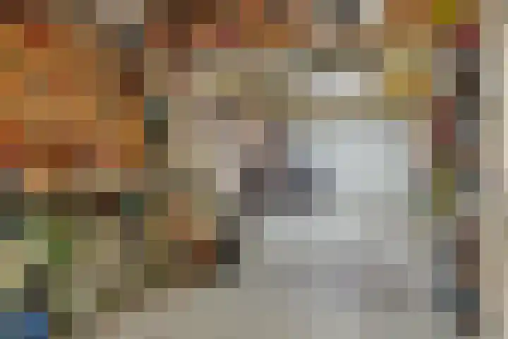 Adriaen van Ostadehof 19 Deurne thumbnail 38
