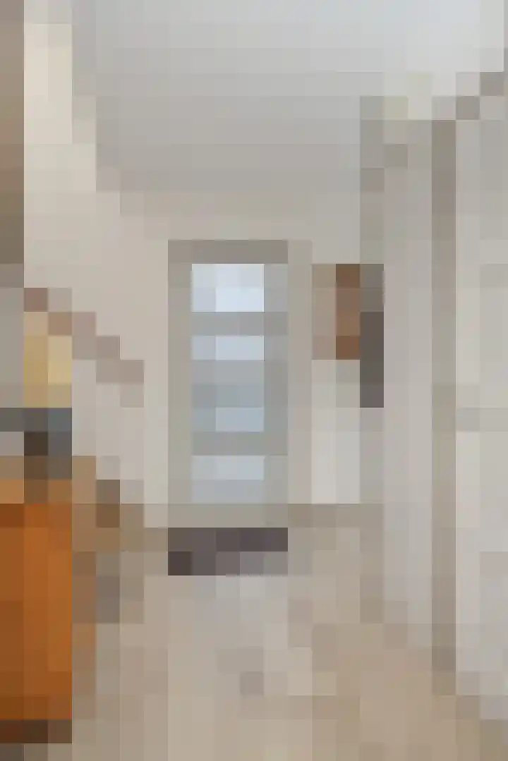 Adriaen van Ostadehof 19 Deurne thumbnail 6