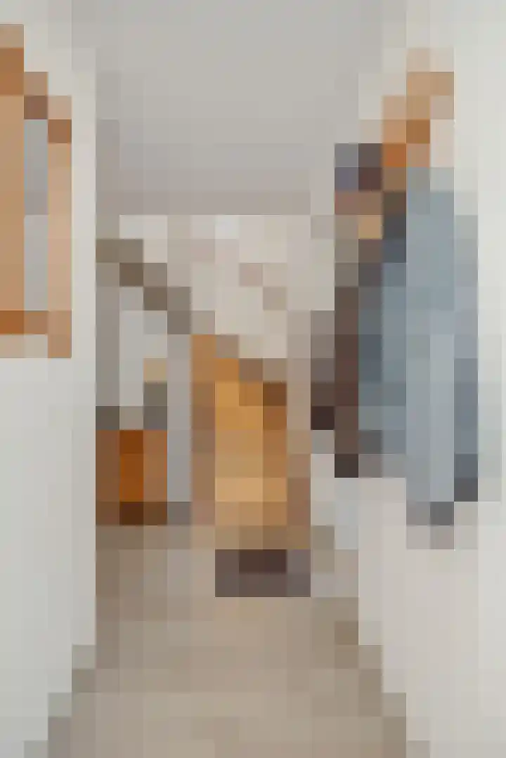 Adriaen van Ostadehof 19 Deurne thumbnail 7