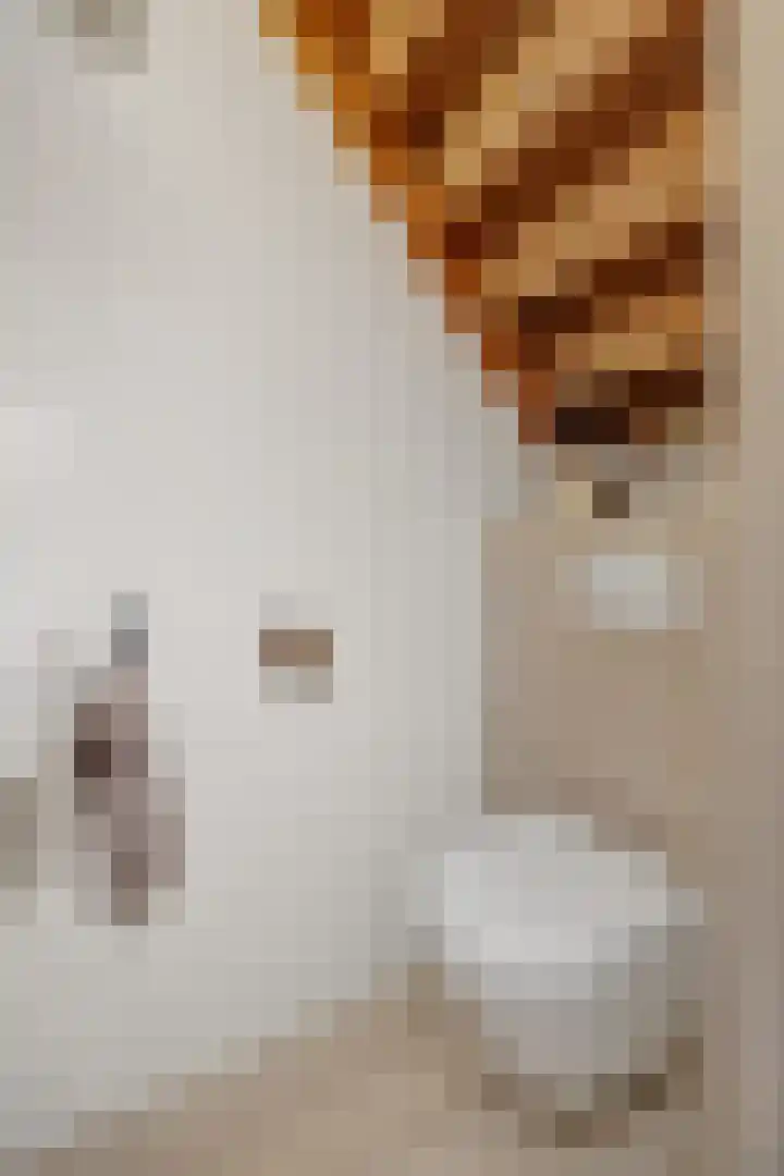 Adriaen van Ostadehof 19 Deurne thumbnail 9