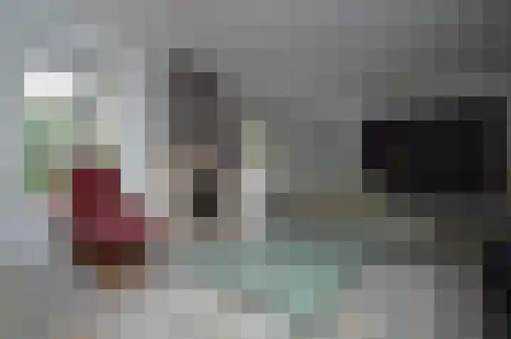 Adriaen van Ostadehof 26 Deurne thumbnail 11
