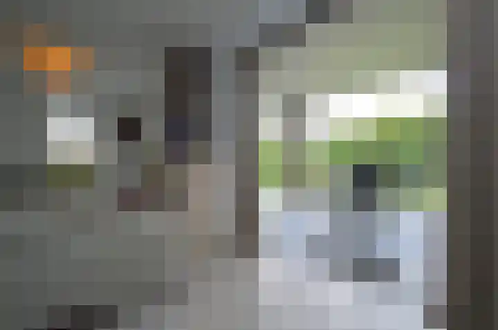 Adriaen van Ostadehof 26 Deurne thumbnail 12