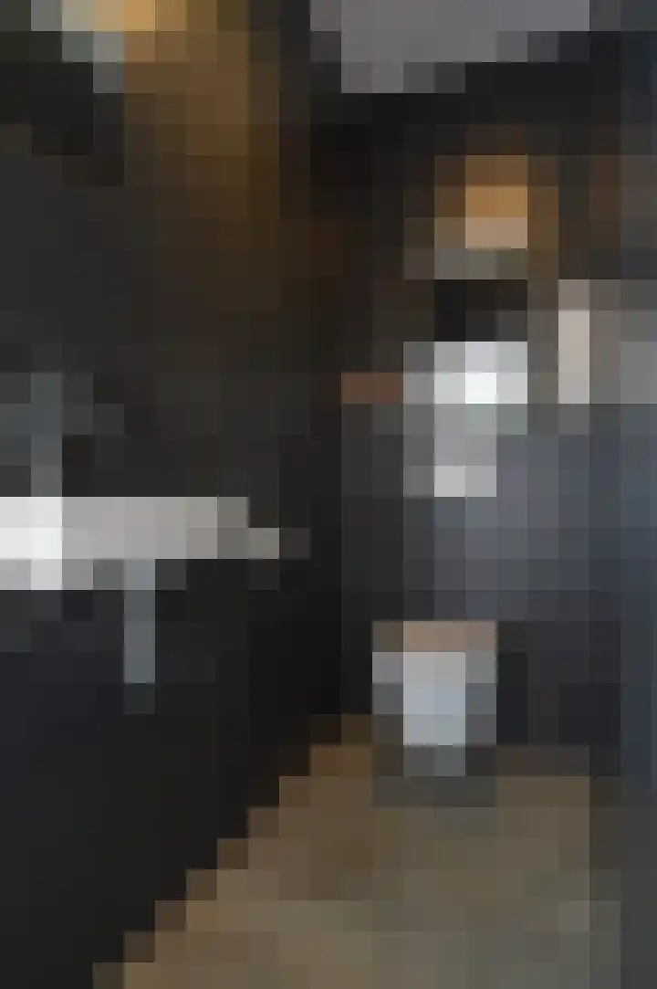 Adriaen van Ostadehof 26 Deurne thumbnail 15
