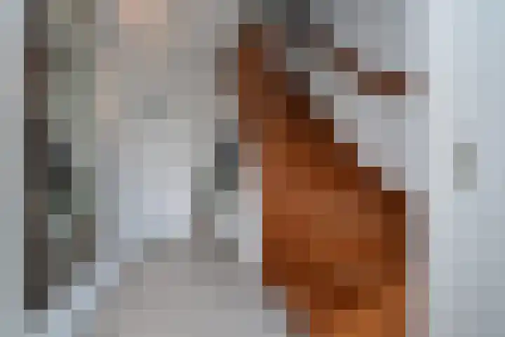 Adriaen van Ostadehof 26 Deurne thumbnail 17