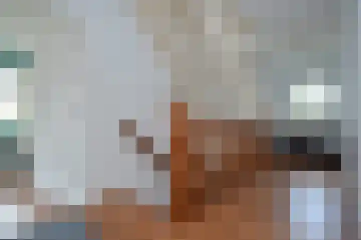 Adriaen van Ostadehof 26 Deurne thumbnail 18