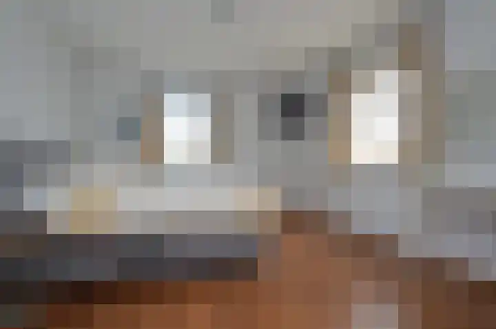 Adriaen van Ostadehof 26 Deurne thumbnail 19
