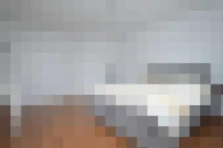 Adriaen van Ostadehof 26 Deurne thumbnail 20