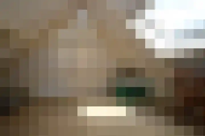 Adriaen van Ostadehof 26 Deurne thumbnail 27