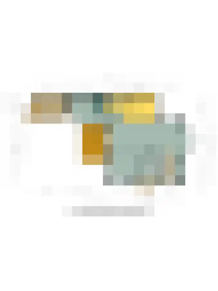 Adriaen van Ostadehof 26 Deurne thumbnail 35