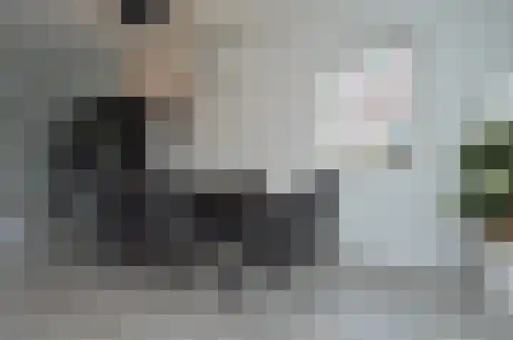 Adriaen van Ostadehof 26 Deurne thumbnail 8