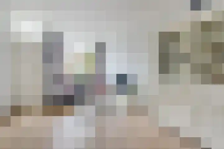 Adriaen van Ostadelaan 101 Utrecht thumbnail 10