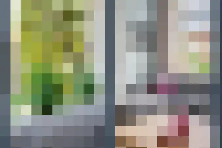 Adriaen van Ostadelaan 101 Utrecht thumbnail 13